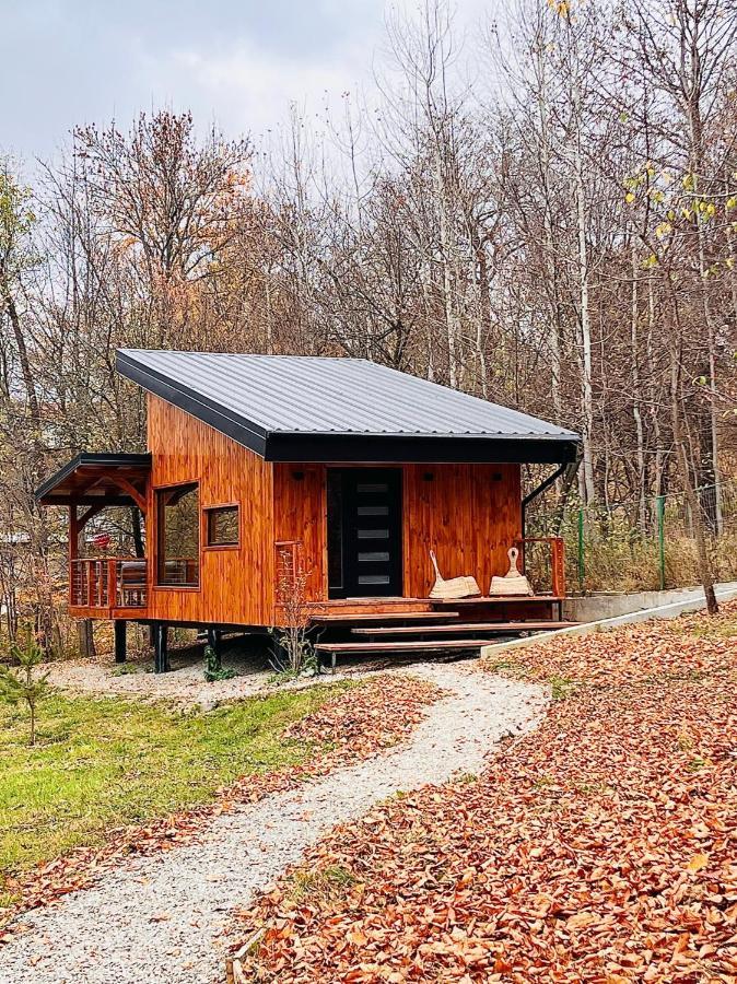 Moodysun Studio, Remote Tiny Home كومارنيك المظهر الخارجي الصورة