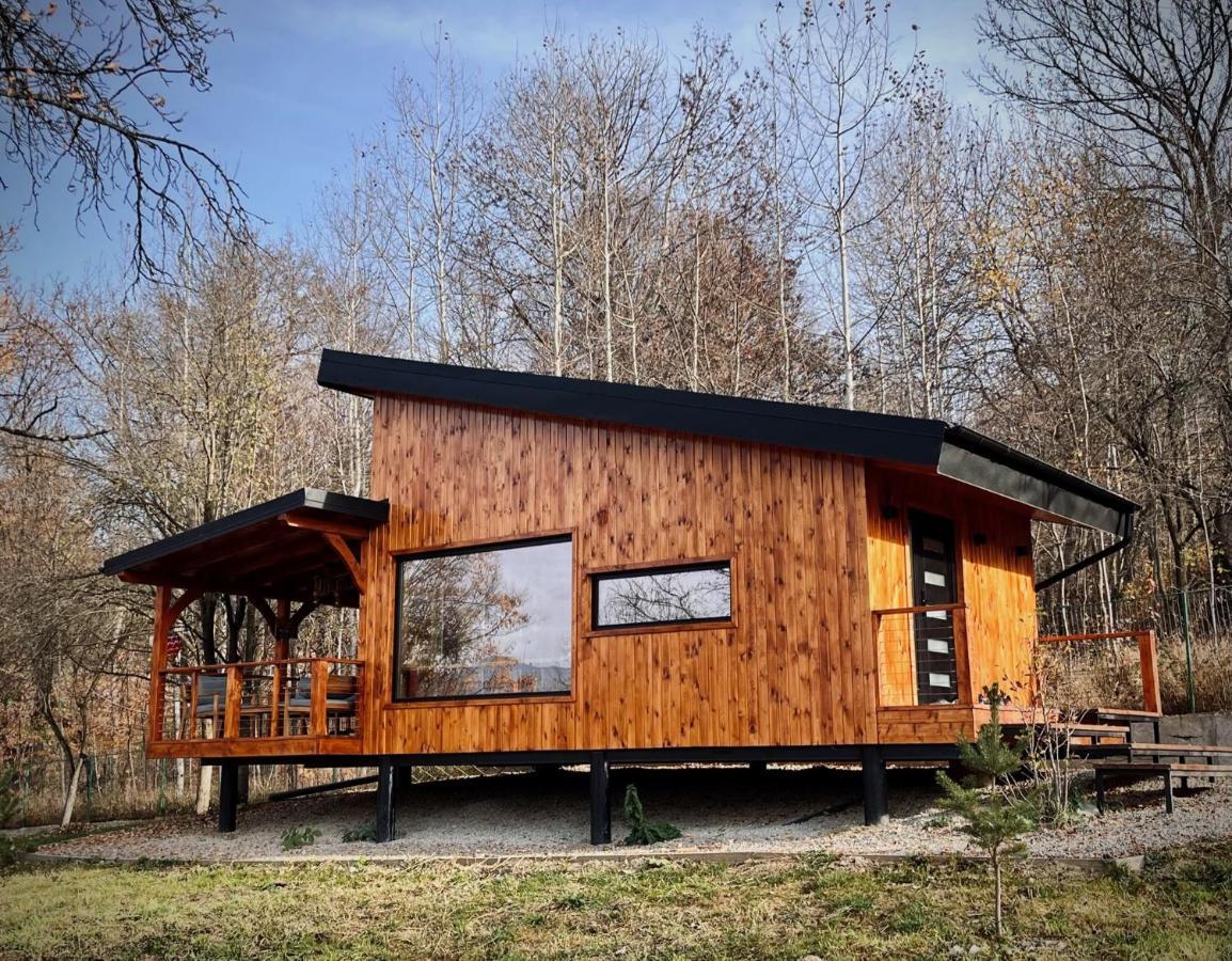 Moodysun Studio, Remote Tiny Home كومارنيك المظهر الخارجي الصورة