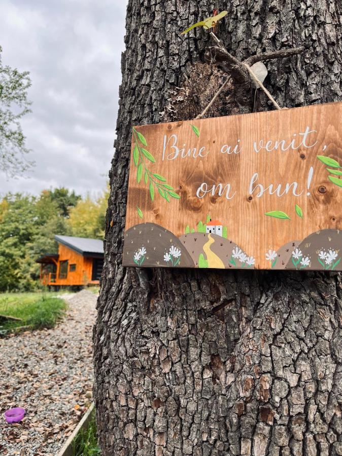 Moodysun Studio, Remote Tiny Home كومارنيك المظهر الخارجي الصورة