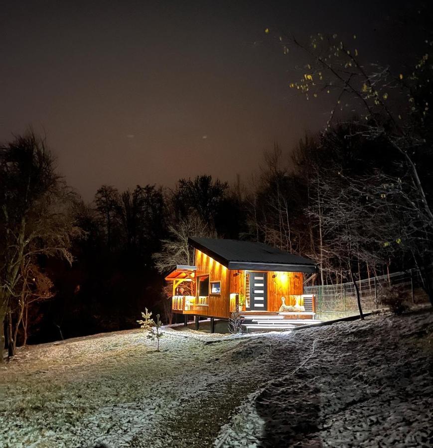 Moodysun Studio, Remote Tiny Home كومارنيك المظهر الخارجي الصورة