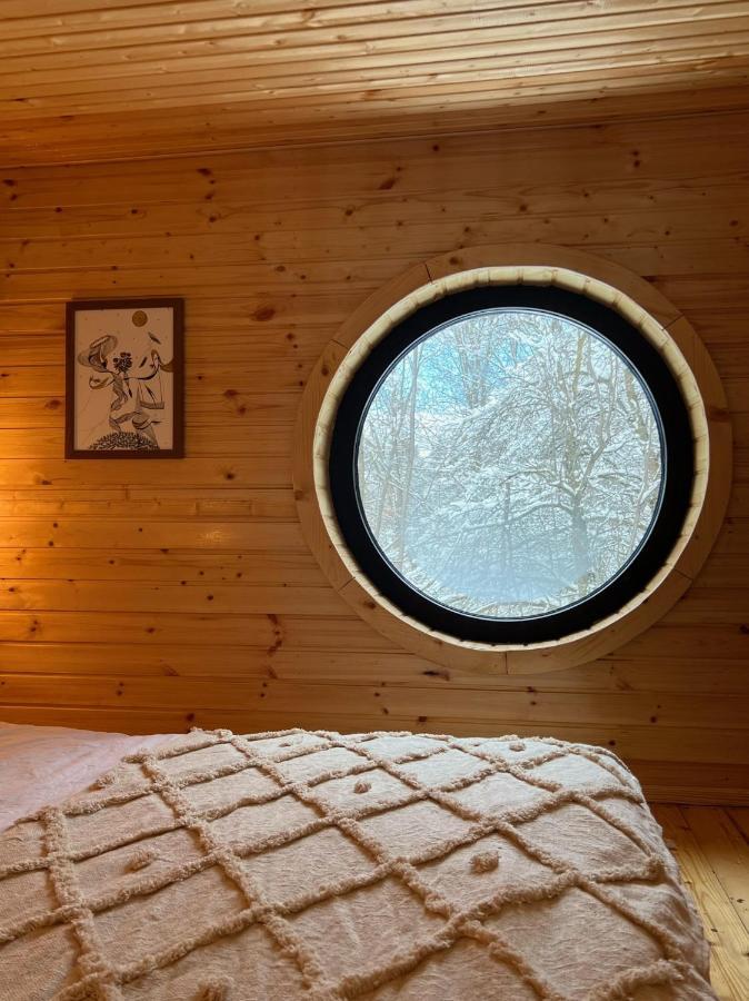 Moodysun Studio, Remote Tiny Home كومارنيك المظهر الخارجي الصورة